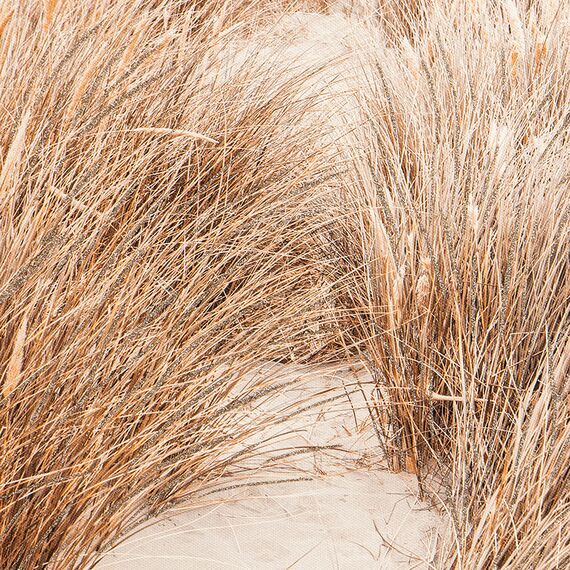 Панно декоративное Sand с черной рамой, 50х70 см, Bergenson Bjorn, изображение 6