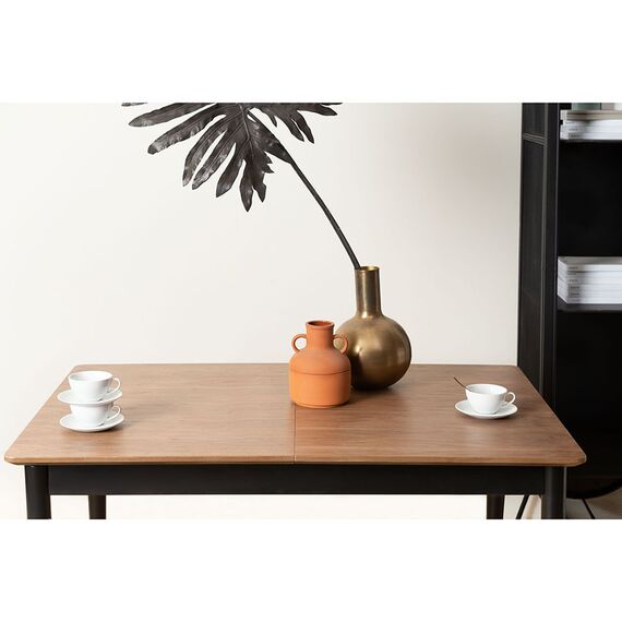 Стол обеденный раздвижной Shayne, 120/160х80 см, Bergenson Bjorn