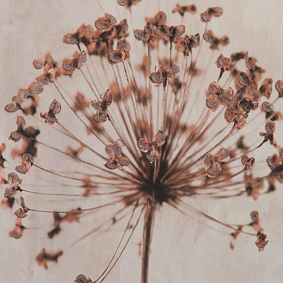 Панно декоративное Plant, с белой рамой, 50х70 см, Bergenson Bjorn, изображение 6