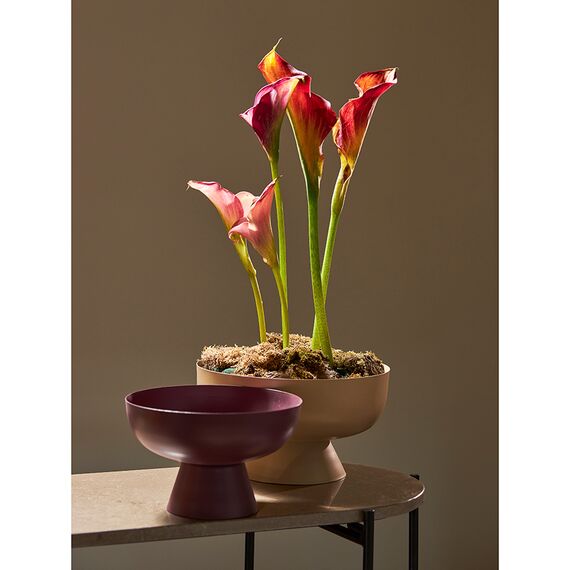 Блюдо на ножке Vivlend, 25,5 см, бежевое, Bergenson Bjorn, изображение 4