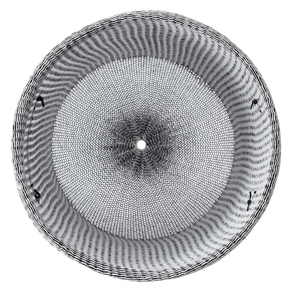 Корзина для хранения Sustainable collection, 42х55 см, черная, Bergenson Bjorn, изображение 8