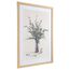 Панно декоративное Plant с бежевой рамой, 50х70 см, Bergenson Bjorn, изображение 2