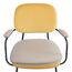 Стул с подлокотниками и контрастным кантом Pea, велюр, желтый/бежевый, Bergenson Bjorn, изображение 21